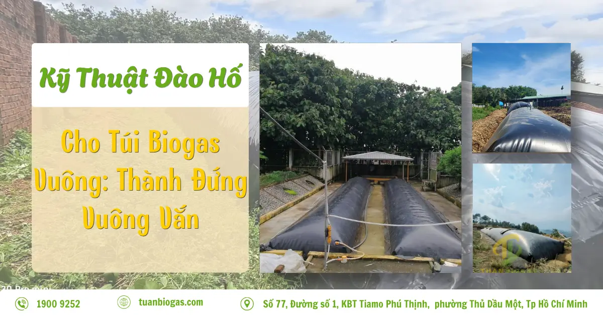 Kỹ Thuật Đào Hố Cho Túi Biogas Vuông: Thành Đứng Vuông Vắn & Định Vị Vòm Nổi 1 Mét